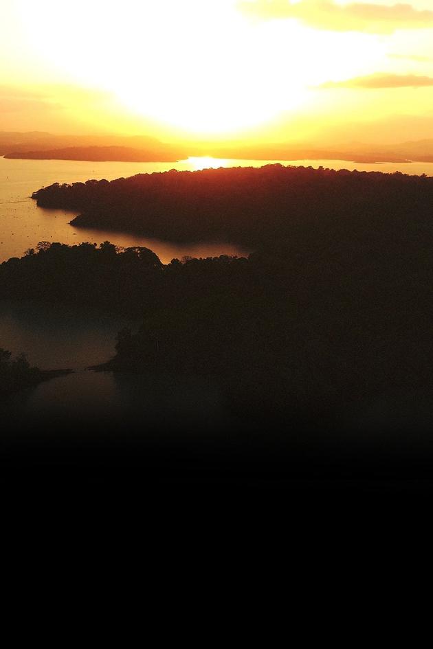 Mysteries of the Rainforest