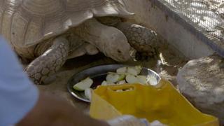 Closing the Worst Zoo in the World