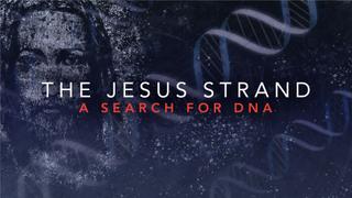 The Jesus Strand: A Search for DNA