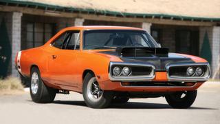 Super Bee Reborn