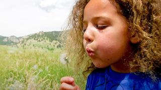 Kids Who Love the Earth