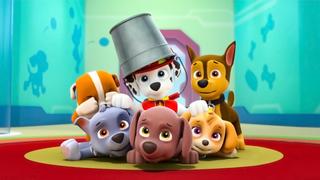 PAW Patrol