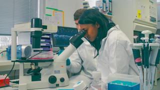 Curing Cancer Curing Cancer