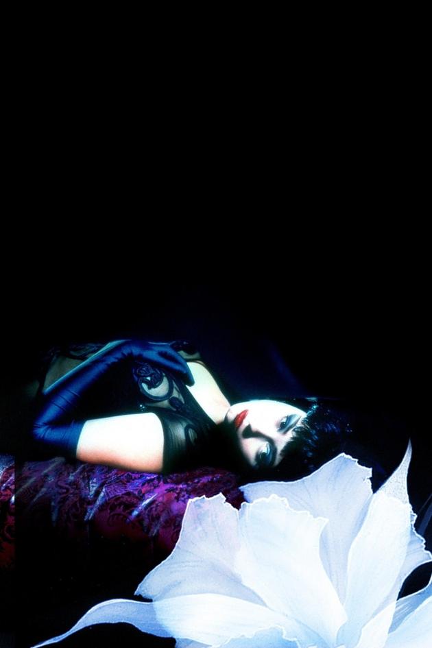 Wild Orchid 2: Two Shades of Blue