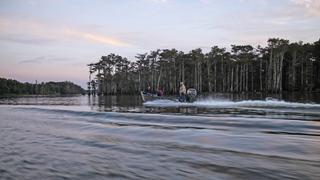 The Cuban Connection The Cuban Connection