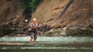 Return of the Killer Catfish