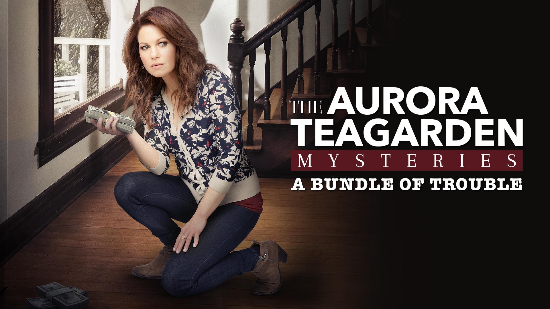Watch Aurora Teagarden Mysteries: Bundle of Trouble Streaming Online on  Philo, image size:1920x1080