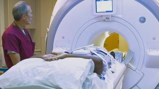 The Science Of Sugar