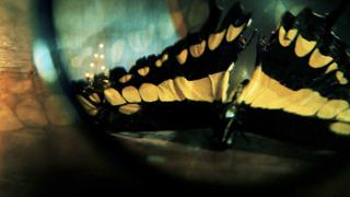 Long Distance Love Long Distance Love