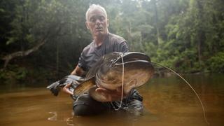 Malaysian Lake Monster Malaysian Lake Monster