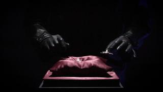 World's Smartest Thief