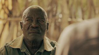 Namibia's Dog-Headed Pig Monster