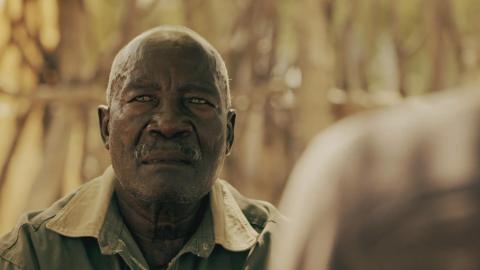 Namibia's Dog-Headed Pig Monster