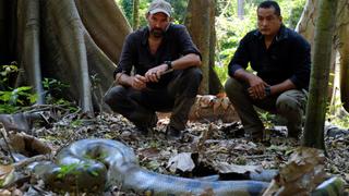 Cold Blooded Peruvian Predator Cold Blooded Peruvian Predator