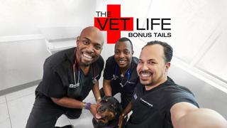 The Vet Life: Bonus Tails