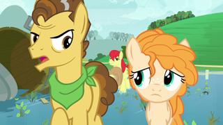 The Perfect Pear