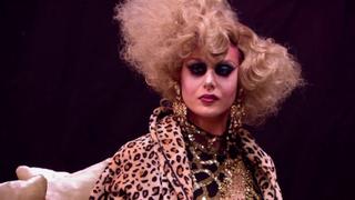 Category Is Category Is
