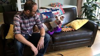 Pit Bulls and Parolees