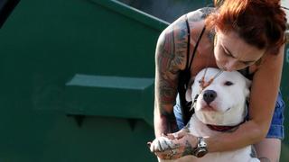 Pit Bulls and Parolees