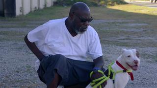 Pit Bulls and Parolees