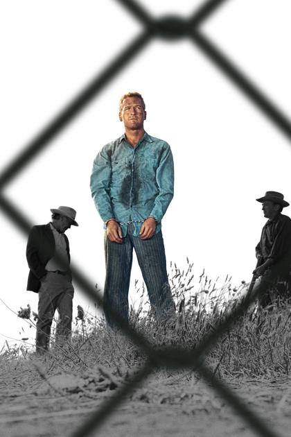 Cool Hand Luke