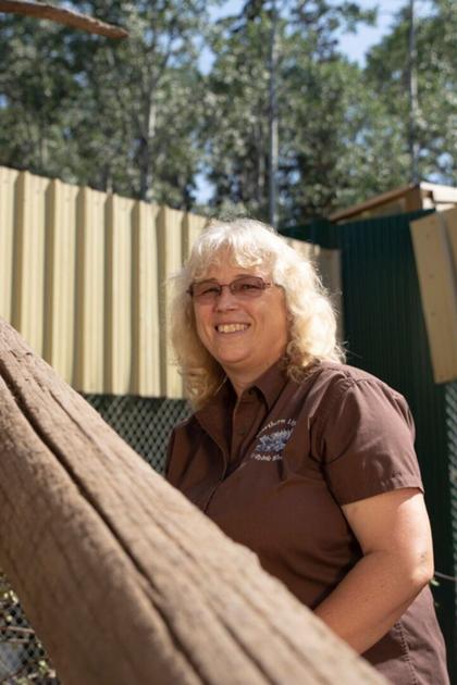 Wild Bear Rescue
