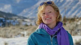 Shepherd's Wagon Tiny House Shepherd's Wagon Tiny House