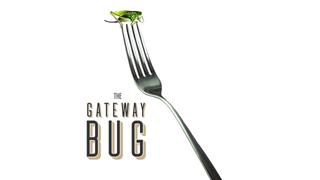  watch The Gateway Bug