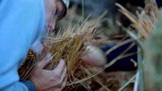 Surviving a Mountain Lion Attack Surviving a Mountain Lion Attack