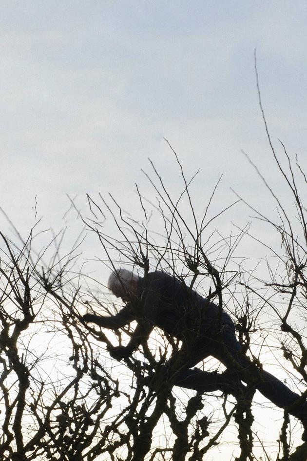 Leaning Into the Wind: Andy Goldsworthy