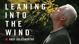 Leaning Into the Wind: Andy Goldsworthy