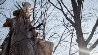 Touched By the Devil