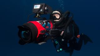 Muck Diving in Florida & Iceland: The World's Clearest Water Muck Diving in Florida & Iceland: The World's Clearest Water