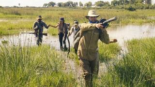 The Intrusion of Strangers The Intrusion of Strangers