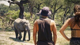 The Nail in the Coffin The Nail in the Coffin