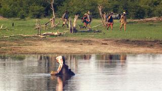 An Unexpected Turn An Unexpected Turn