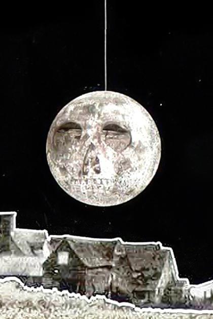 Leptirica