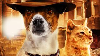 Treasure Hounds