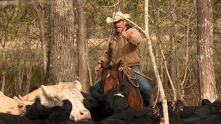 Misty Makes a Match Misty Makes a Match