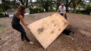 Zombie House Flipping