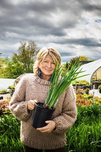 Martha Stewart - Garden