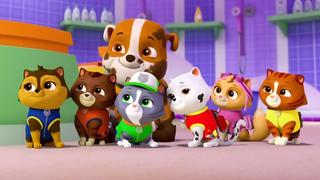 PAW Patrol