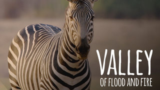 Valley of Flood and Fire