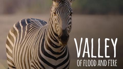 Valley of Flood and Fire