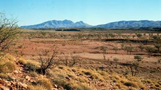 Surviving the Arid Heart