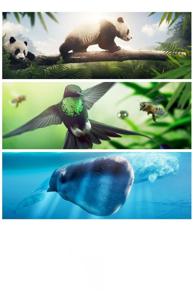 Planet Earth: One Amazing Day