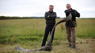 German Bomber in Liverpool