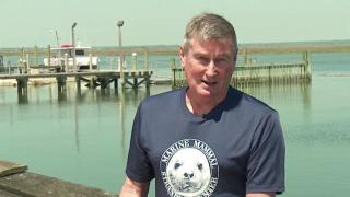 Double Jeopardy Double Jeopardy