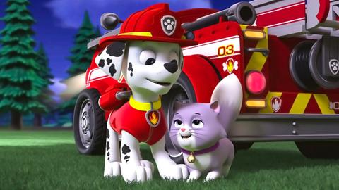 Pups Save a City Kitty; Pups Save a Cloud Surfer
