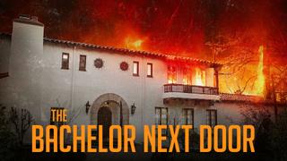 The Bachelor Next Door